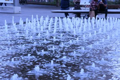 DSC_1622 (Large).JPG